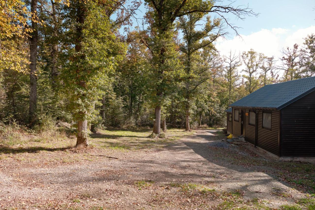 Chalet D'Un Ami Vila Somme-Leuze Exterior foto